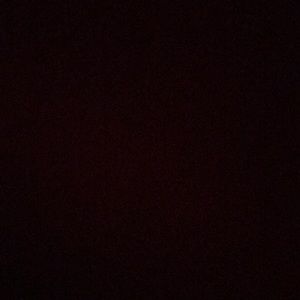 Meet your Posher, Bella